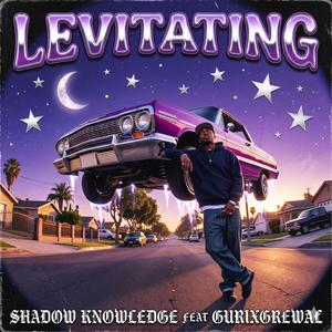 LEVITATING (feat. Gurixgrewal)