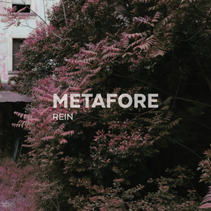 Metafore (Singolo)