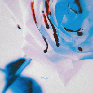 SALIENT