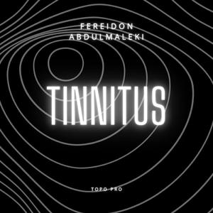 Tinnitus (feat. Topo Pro)
