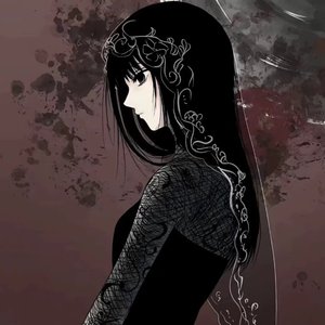 宠物的欢乐时光