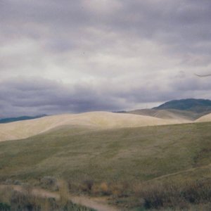 Idaho