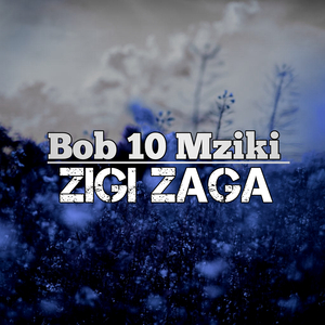 Zigi Zaga (Remix)