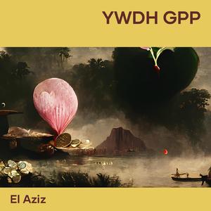 Ywdh gpp