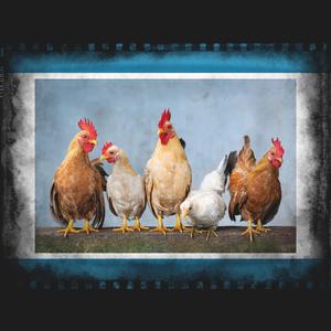 Chicken Dance Song