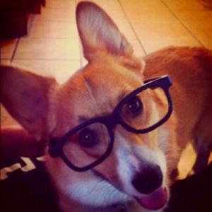 i just got a new profession