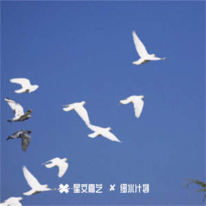揽胜进行曲