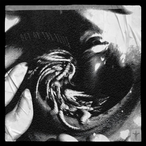 OUT OF THE BLACK