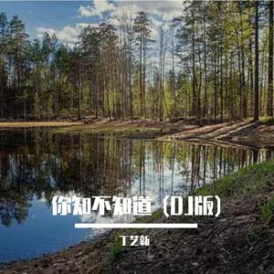 你知不知道 (DJ版)