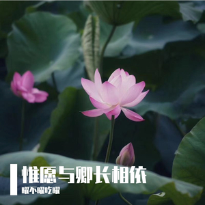 孙惟依