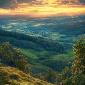 路与他人各不同