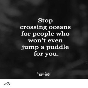 Cristal You're Fired Everywhere