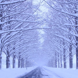 Merry Christmas (A Special Memory)