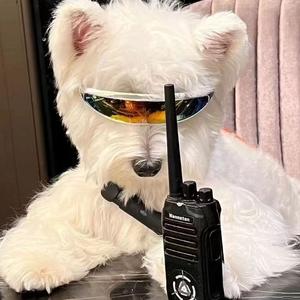 走马DJ (桃之助Remix ProgHouse 2024 )