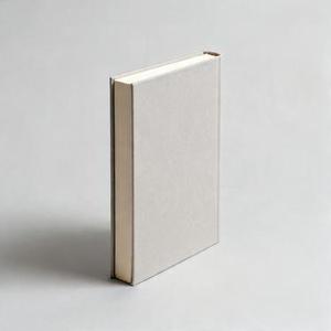 爱是无畏的冒险 (陈紫舒 Remix)