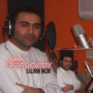 Dalımın İnciri