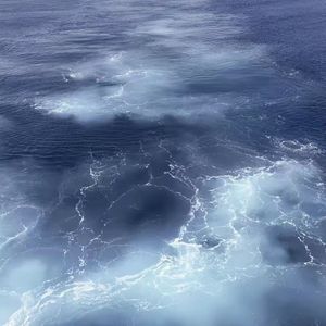 不需要你的对不起