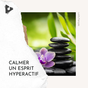 Hibernation Des Chakras