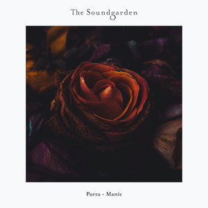 Social Distortion (Original Mix)