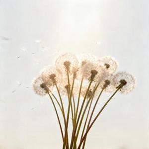 像你这样的女孩 (Cover 魏大勋)