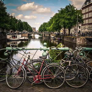 Gowtu Man Sessee (Live)