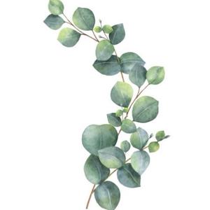 ホメオスタシス