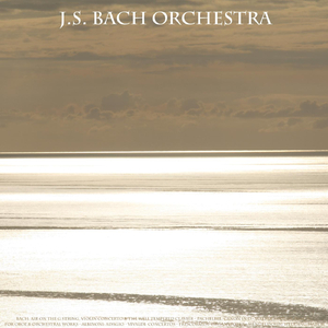 Adagio for Strings and Organ in G Minor