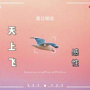 天上飞