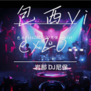 岩那-包西Viex (DJ版)（DJ尼保 / 岩那 remix）