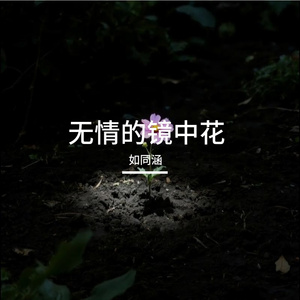 无情的镜中花 伴奏