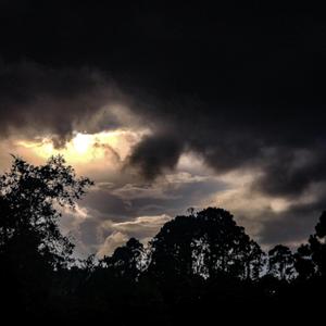 Hypolimnion / Anabiosis / Recast / Forever Long-Ago