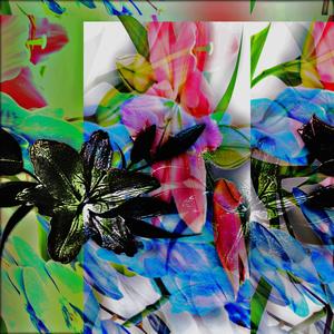 xmo 1 flor