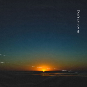 Don't Cry For Me (feat. ジェロニモR.E & BLABLA)