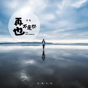 再也不是你