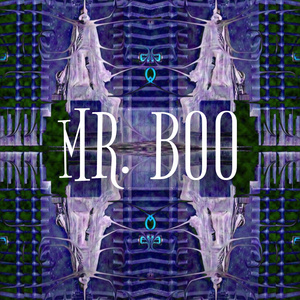 MR.BOO