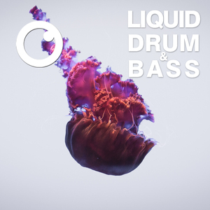 Liquid Drum & Bass Sessions 2020 Vol 24 (The Mix)