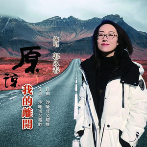 原谅我的离开 (DJ可乐版)