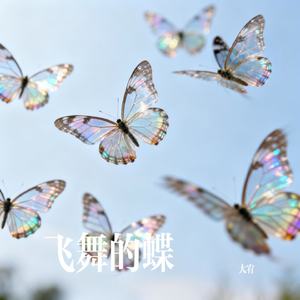 飞舞的蝶