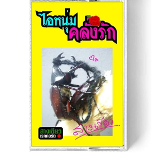 ไอ้หนุ่มคลั่งรัก