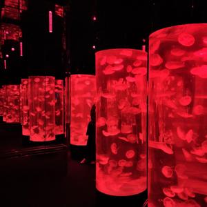 2:Girls（可乐 remix）