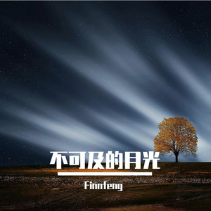 不可及的月光
