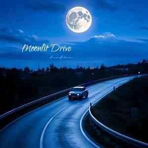 Moonlit Drive
