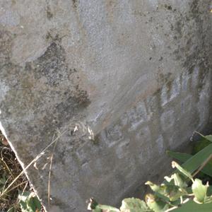 Is It Just A Dream? (Live)