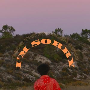 I'M SORRY (This is the problem song)