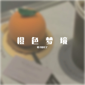 突然想到理想这个词