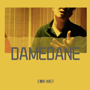 DAMEDANE ばかみたい