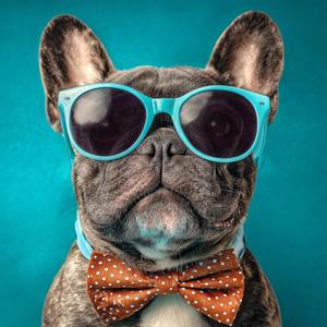 Stillness Threading In