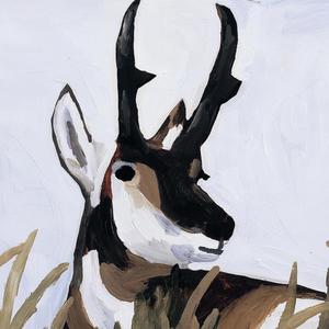 コスモス (Album Version)