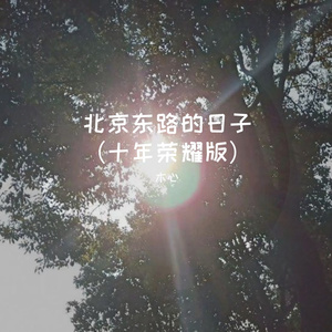 北京东路的日子（十年荣耀版）