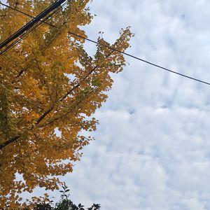流金岁月
